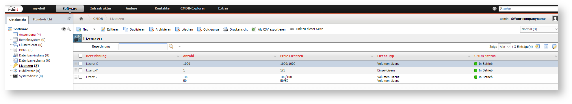 Darstellung in i-doit