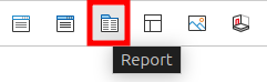 Platzhalter Report